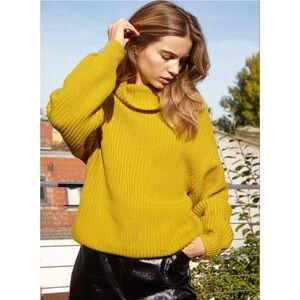 Wilfred | Montpellier Turtleneck 100% Merino Wool Sweater Size Small Aritzia